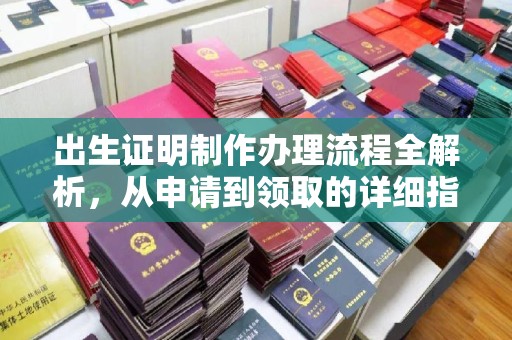 汤原出生证明制作办理流程全解析，从申请到领取的详细指南